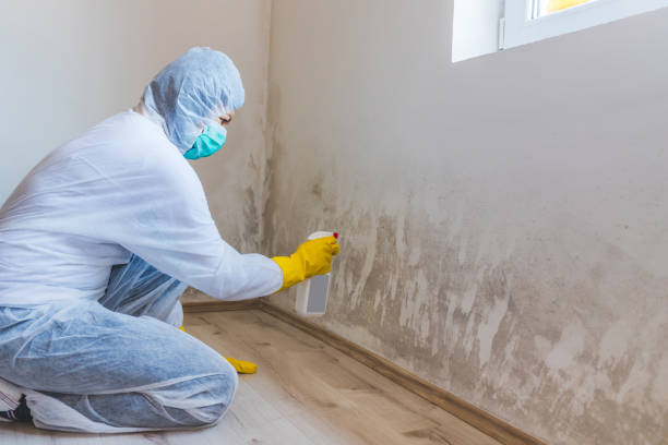 Licensed Crawl Space Mold Removal service in Rockwood, TN - WQB Mold Removal